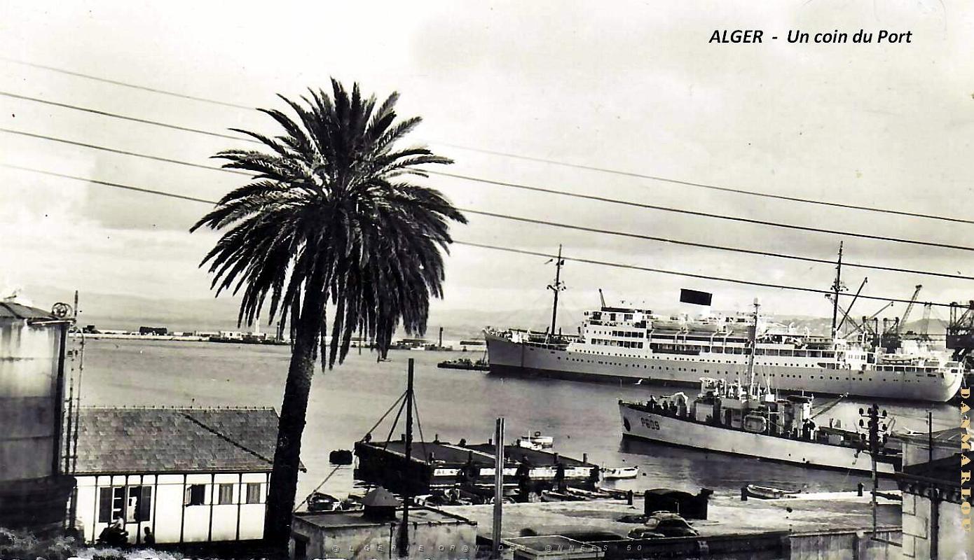 Alger - Port - Coin.jpg